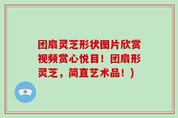 团扇灵芝形状图片欣赏视频赏心悦目！团扇形灵芝，简直艺术品！)