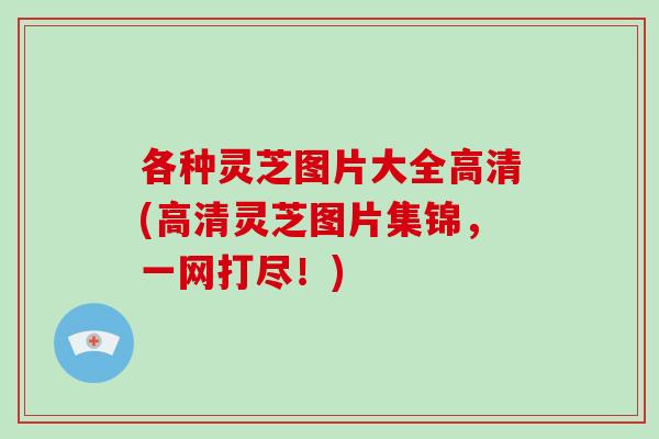 各种灵芝图片大全高清(高清灵芝图片集锦，一网打尽！)
