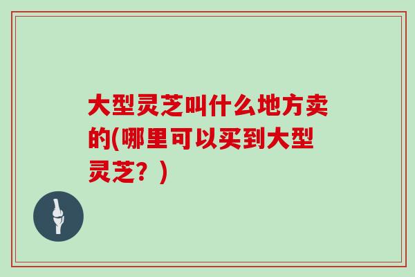 大型灵芝叫什么地方卖的(哪里可以买到大型灵芝？)