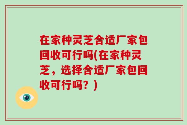 在家种灵芝合适厂家包回收可行吗(在家种灵芝，选择合适厂家包回收可行吗？)