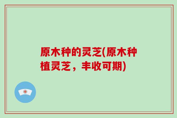 原木种的灵芝(原木种植灵芝，丰收可期)