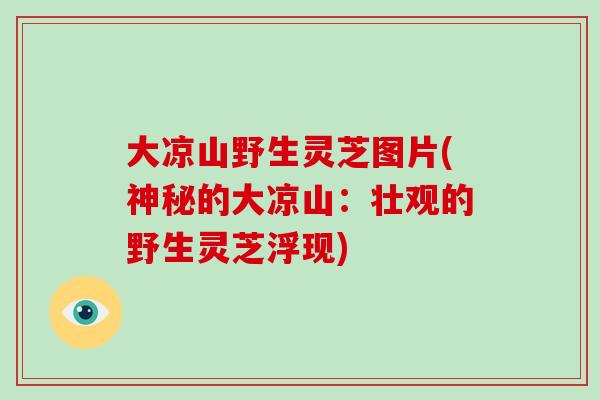 大凉山野生灵芝图片(神秘的大凉山：壮观的野生灵芝浮现)