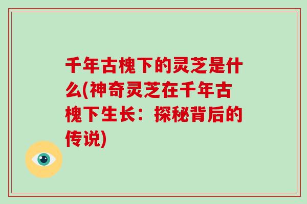 千年古槐下的灵芝是什么(神奇灵芝在千年古槐下生长：探秘背后的传说)