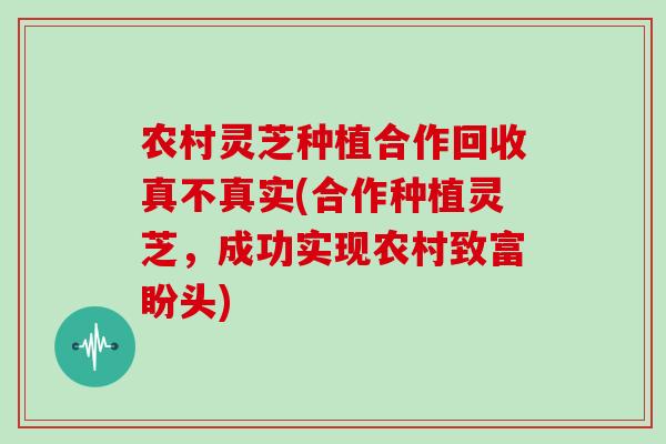 农村灵芝种植合作回收真不真实(合作种植灵芝,成功实现农村致富盼头)-第1张图片-灵芝大师 农村灵芝种植合作回收真不真实(合作种植灵芝,成功实现农村致富盼头)-第1张图片-灵芝大师