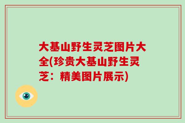 大基山野生灵芝图片大全(珍贵大基山野生灵芝：精美图片展示)