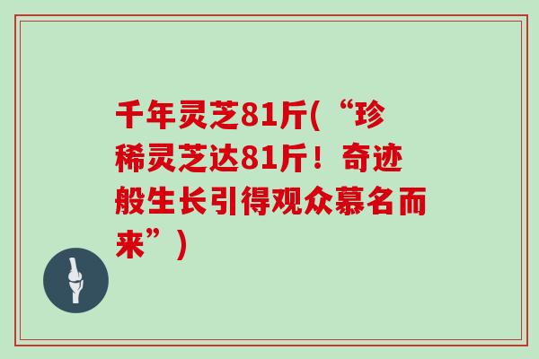 千年灵芝81斤(“珍稀灵芝达81斤！奇迹般生长引得观众慕名而来”)