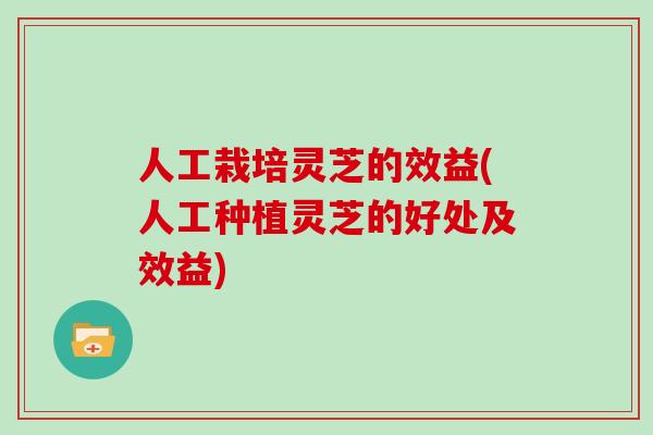 人工栽培灵芝的效益(人工种植灵芝的好处及效益)