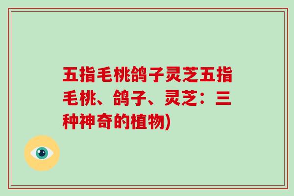 五指毛桃鸽子灵芝五指毛桃、鸽子、灵芝：三种神奇的植物)