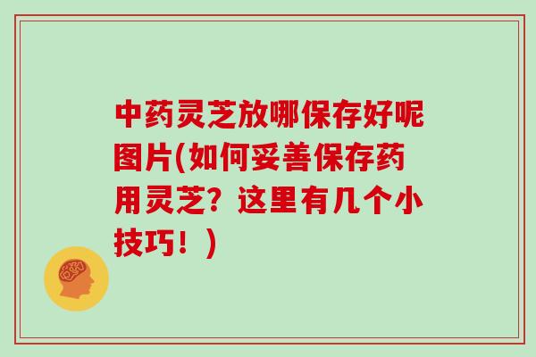 中药灵芝放哪保存好呢图片(如何妥善保存药用灵芝？这里有几个小技巧！)