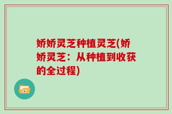娇娇灵芝种植灵芝(娇娇灵芝：从种植到收获的全过程)