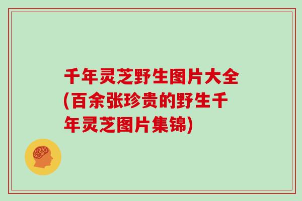 千年灵芝野生图片大全(百余张珍贵的野生千年灵芝图片集锦)