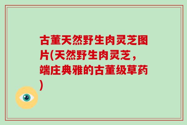 古董天然野生肉灵芝图片(天然野生肉灵芝，端庄典雅的古董级草药)