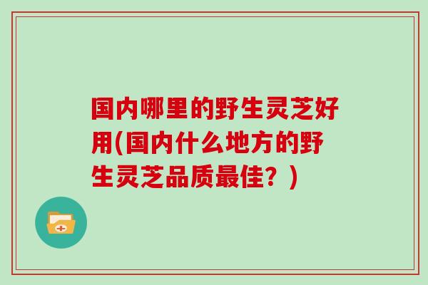 国内哪里的野生灵芝好用(国内什么地方的野生灵芝品质最佳？)-第1张图片-灵芝大师