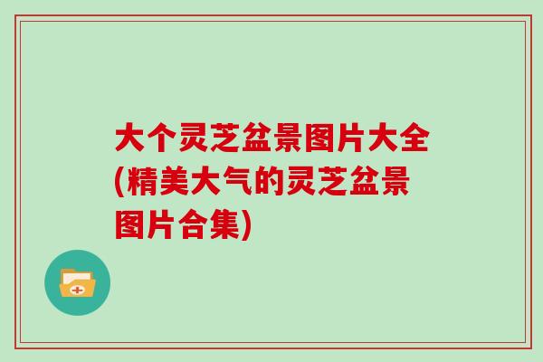 大个灵芝盆景图片大全(精美大气的灵芝盆景图片合集)-第1张图片-灵芝大师