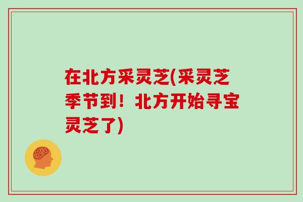 在北方采灵芝(采灵芝季节到！北方开始寻宝灵芝了)