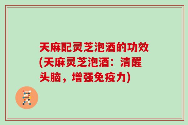 天麻配灵芝泡酒的功效(天麻灵芝泡酒：清醒头脑，增强免疫力)