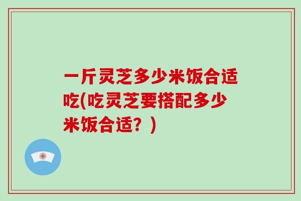 一斤灵芝多少米饭合适吃(吃灵芝要搭配多少米饭合适？)-第1张图片-灵芝大师