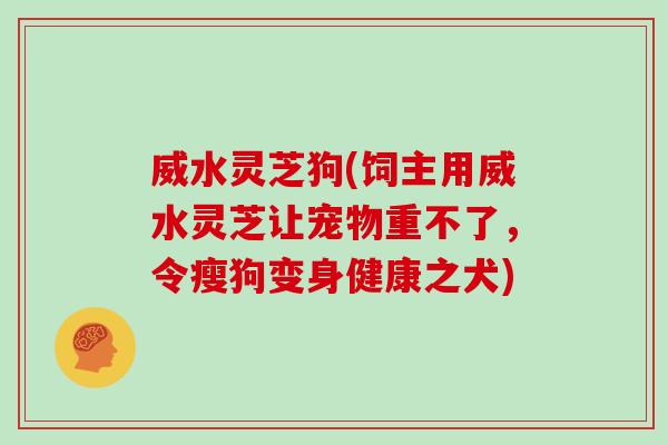 威水灵芝狗(饲主用威水灵芝让宠物重不了，令瘦狗变身健康之犬)
