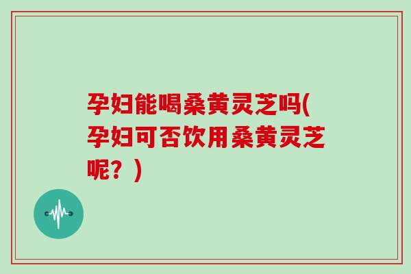 孕妇能喝桑黄灵芝吗(孕妇可否饮用桑黄灵芝呢？)