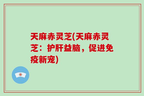天麻赤灵芝(天麻赤灵芝：护肝益脑，促进免疫新宠)