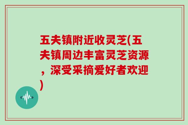 五夫镇附近收灵芝(五夫镇周边丰富灵芝资源，深受采摘爱好者欢迎)