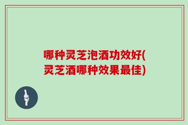 哪种灵芝泡酒功效好(灵芝酒哪种效果最佳)