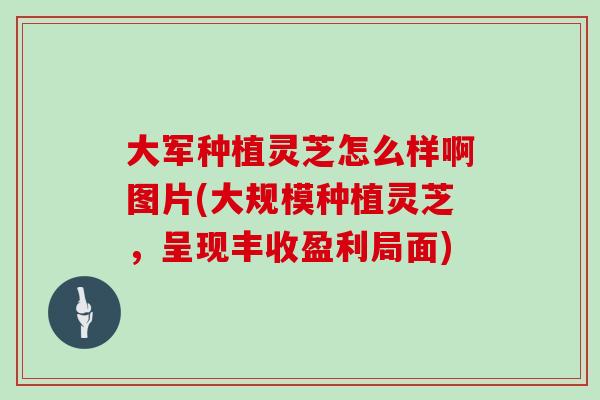 大军种植灵芝怎么样啊图片(大规模种植灵芝，呈现丰收盈利局面)