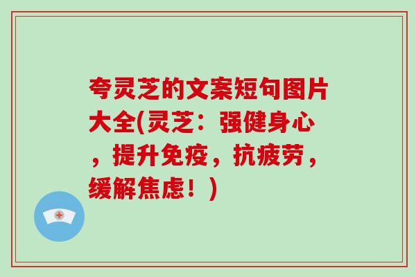 夸灵芝的文案短句图片大全(灵芝:强健身心,提升免疫,抗疲劳,缓解焦虑!)-第1张图片-灵芝大师 夸灵芝的文案短句图片大全(灵芝:强健身心,提升免疫,抗疲劳,缓解焦虑!)-第1张图片-灵芝大师
