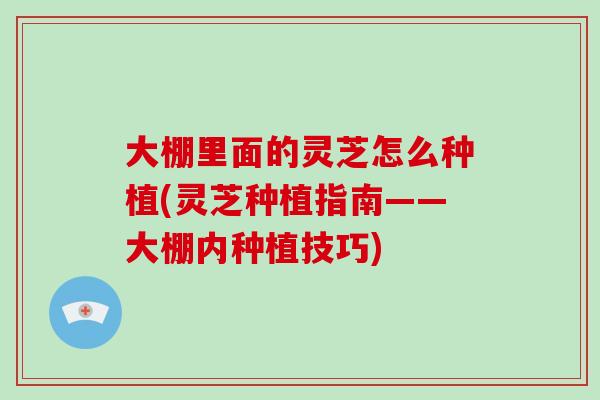 大棚里面的灵芝怎么种植(灵芝种植指南——大棚内种植技巧)