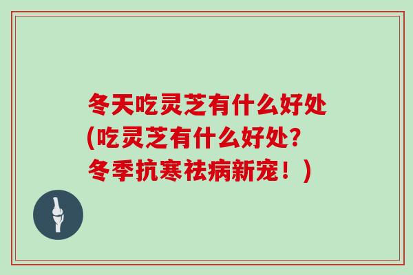 冬天吃灵芝有什么好处(吃灵芝有什么好处？冬季抗寒祛病新宠！)