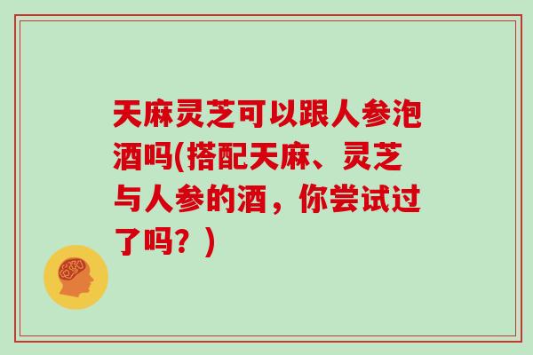 天麻灵芝可以跟人参泡酒吗(搭配天麻、灵芝与人参的酒，你尝试过了吗？)