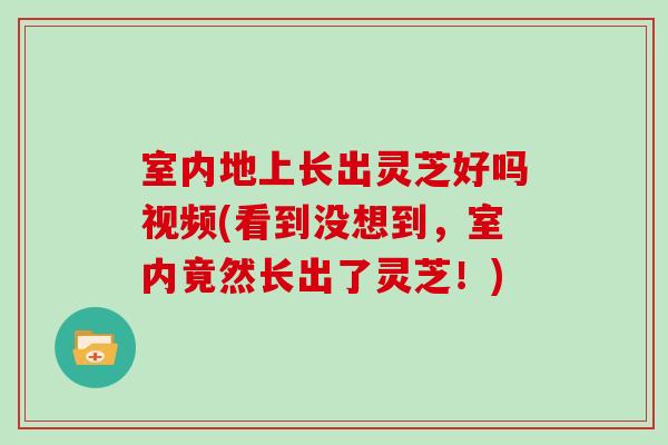 室内地上长出灵芝好吗视频(看到没想到，室内竟然长出了灵芝！)