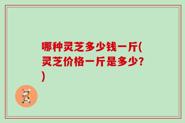 哪种灵芝多少钱一斤(灵芝价格一斤是多少？)