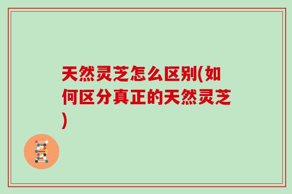 天然灵芝怎么区别(如何区分真正的天然灵芝)
