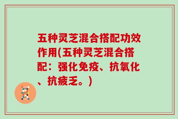 五种灵芝混合搭配功效作用(五种灵芝混合搭配：强化免疫、抗氧化、抗疲乏。)