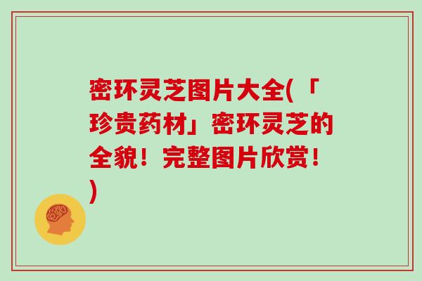 密环灵芝图片大全(「珍贵药材」密环灵芝的全貌！完整图片欣赏！)-第1张图片-灵芝大师