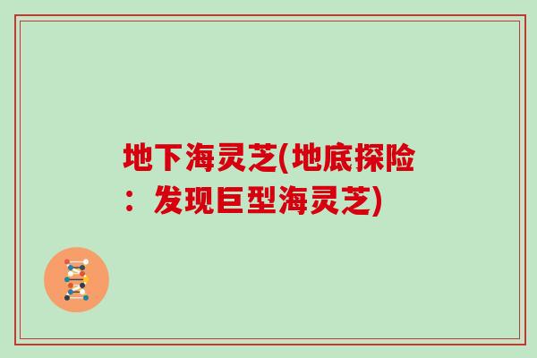 地下海灵芝(地底探险：发现巨型海灵芝)