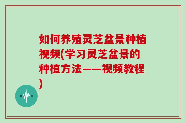 如何养殖灵芝盆景种植视频(学习灵芝盆景的种植方法——视频教程)