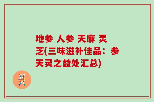 地参 人参 天麻 灵芝(三味滋补佳品：参天灵之益处汇总)
