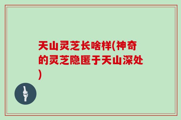 天山灵芝长啥样(神奇的灵芝隐匿于天山深处)