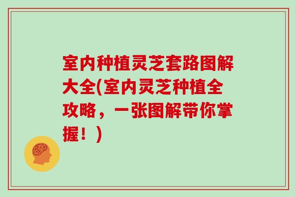 室内种植灵芝套路图解大全(室内灵芝种植全攻略,一张图解带你掌握!)-第1张图片-灵芝大师 室内种植灵芝套路图解大全(室内灵芝种植全攻略,一张图解带你掌握!)-第1张图片-灵芝大师