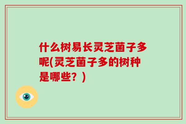 什么树易长灵芝菌子多呢(灵芝菌子多的树种是哪些？)