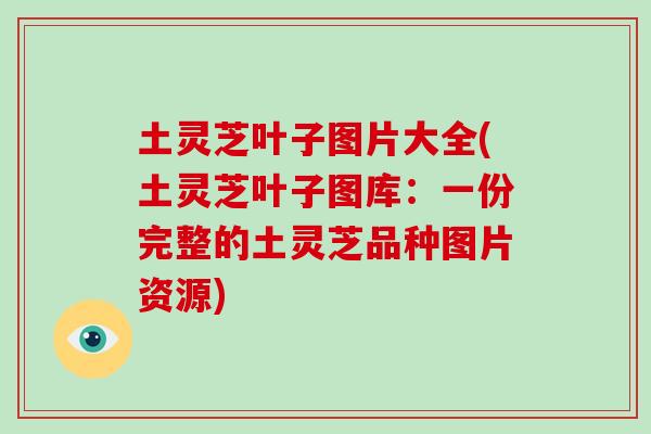 土灵芝叶子图片大全(土灵芝叶子图库：一份完整的土灵芝品种图片资源)