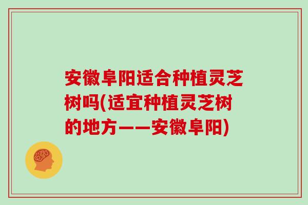 安徽阜阳适合种植灵芝树吗(适宜种植灵芝树的地方——安徽阜阳)