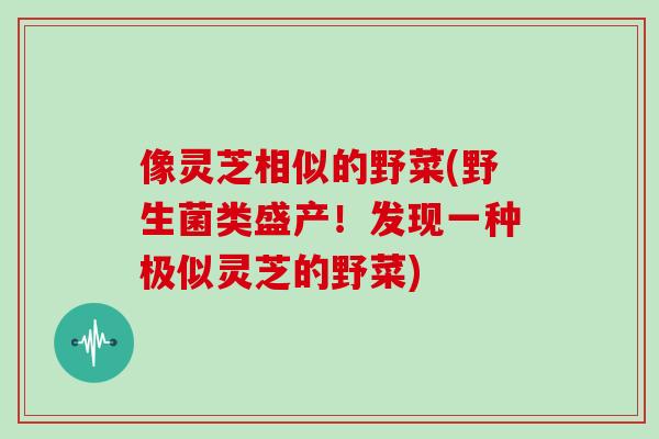 像灵芝相似的野菜(野生菌类盛产！发现一种极似灵芝的野菜)