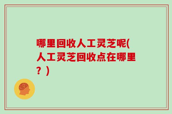 哪里回收人工灵芝呢(人工灵芝回收点在哪里？)