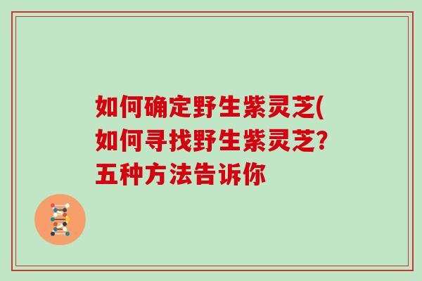 如何确定野生紫灵芝(如何寻找野生紫灵芝？五种方法告诉你