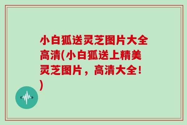 小白狐送灵芝图片大全高清(小白狐送上精美灵芝图片，高清大全！)