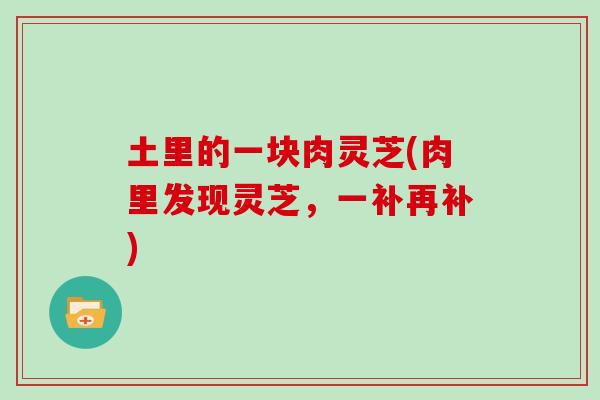 土里的一块肉灵芝(肉里发现灵芝，一补再补)