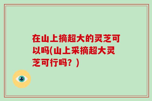 在山上摘超大的灵芝可以吗(山上采摘超大灵芝可行吗？)